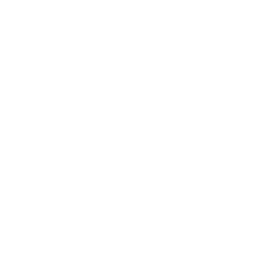 BlueFort Consulting Limited